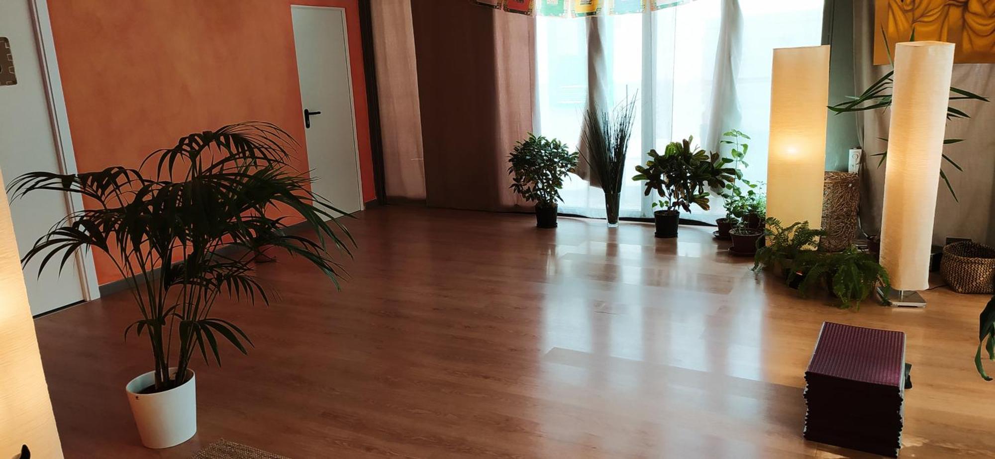 ארסיפה Nirvana Yoga Center מראה חיצוני תמונה